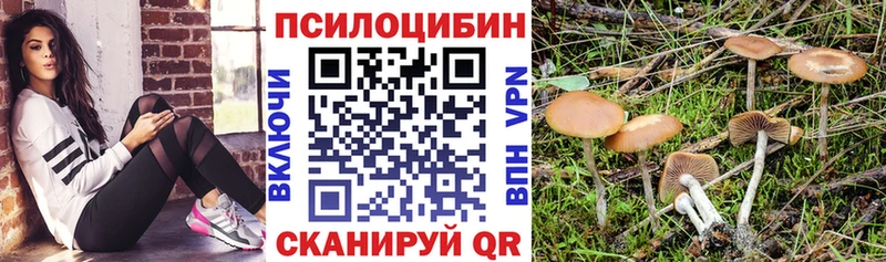 Купить  Ступино  Галлюциногенные грибы мухоморы 