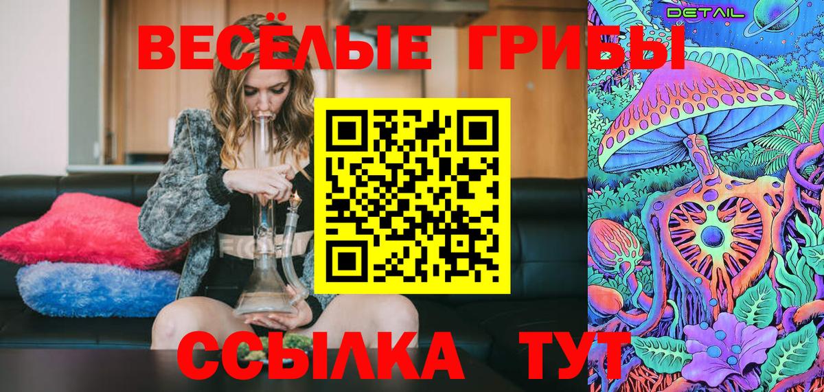 Псилоцибиновые грибы Psilocybine cubensis  Ступино 