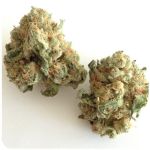 Шишки "White Widow"  (Белая вдова)  Гидропоника -  Бошка VHQ в Ступино