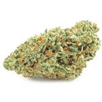 Шишки OG Kush  (Гидропоника, бошки) VHQ в Ступино